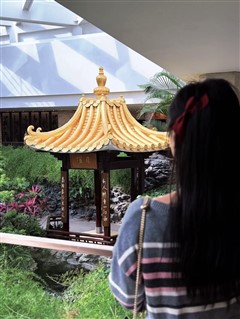 两口子在一起过的是生活而不是烦恼