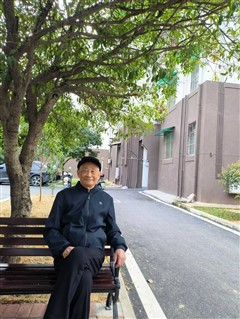 野花是大自然顽强的生命力