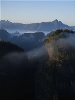 我很喜欢赏花却不会种花