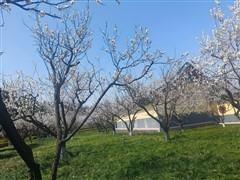 日常骑我的小电瓶散心烦躁就没了