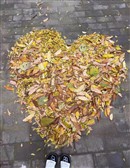 远亲不如近邻这话一点不假