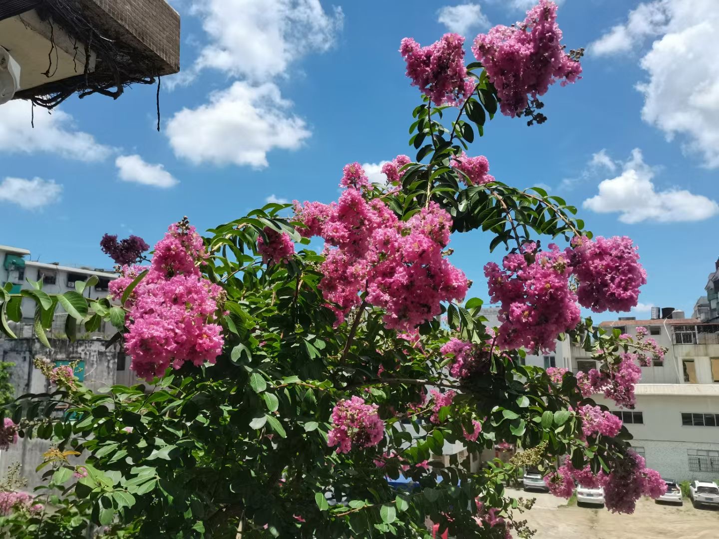 2F3D6991-D5BB-44A9-B4D3-6C1B4FF1784E