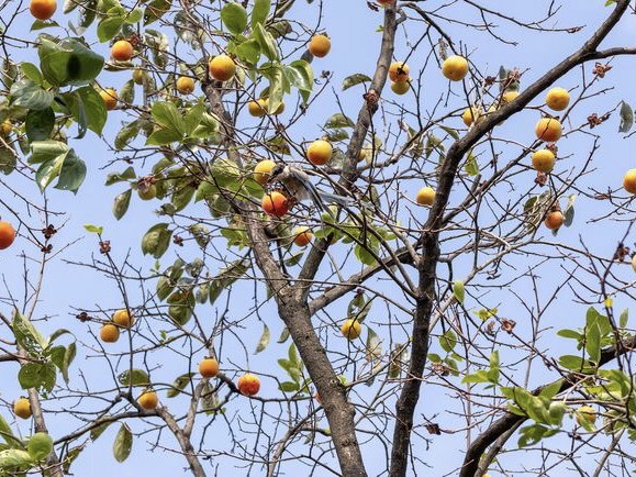 4D5CDC28-D13D-4A0B-9AFE-DF715F497254