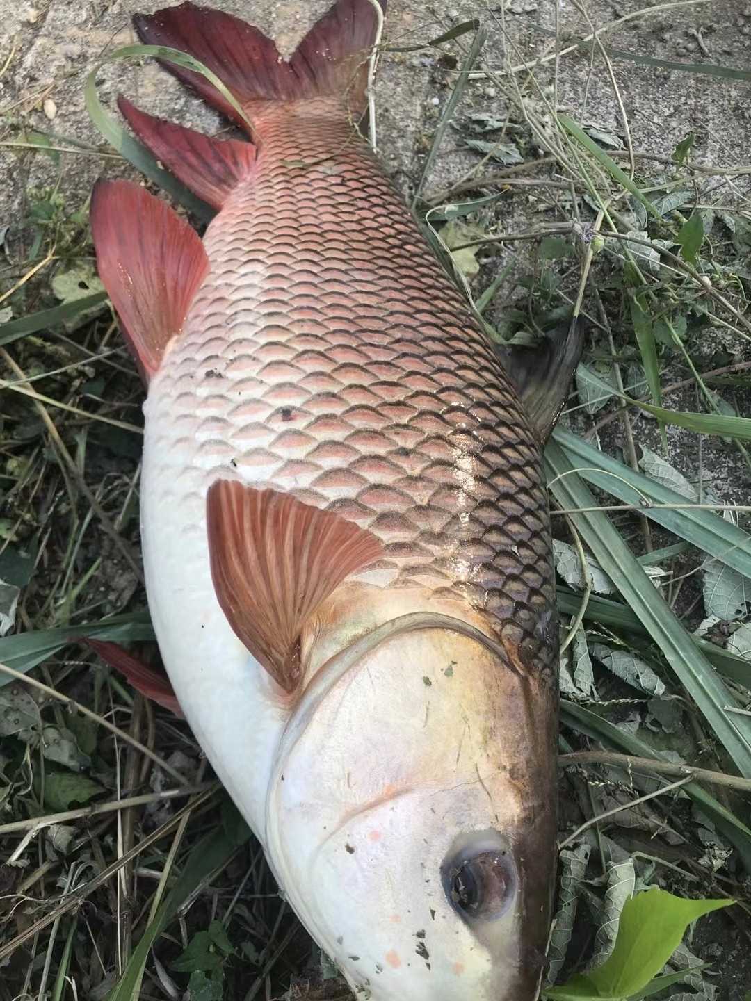 32A42B85-7A63-4610-A8ED-8D26148995B1