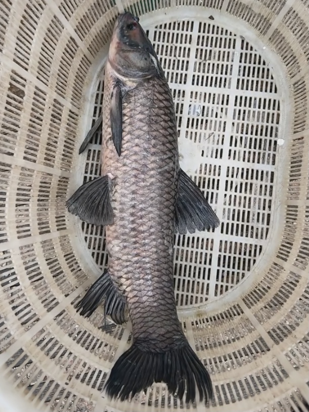 CD9D3E2D-33B8-4D30-9D71-F3CD3B5F5A08