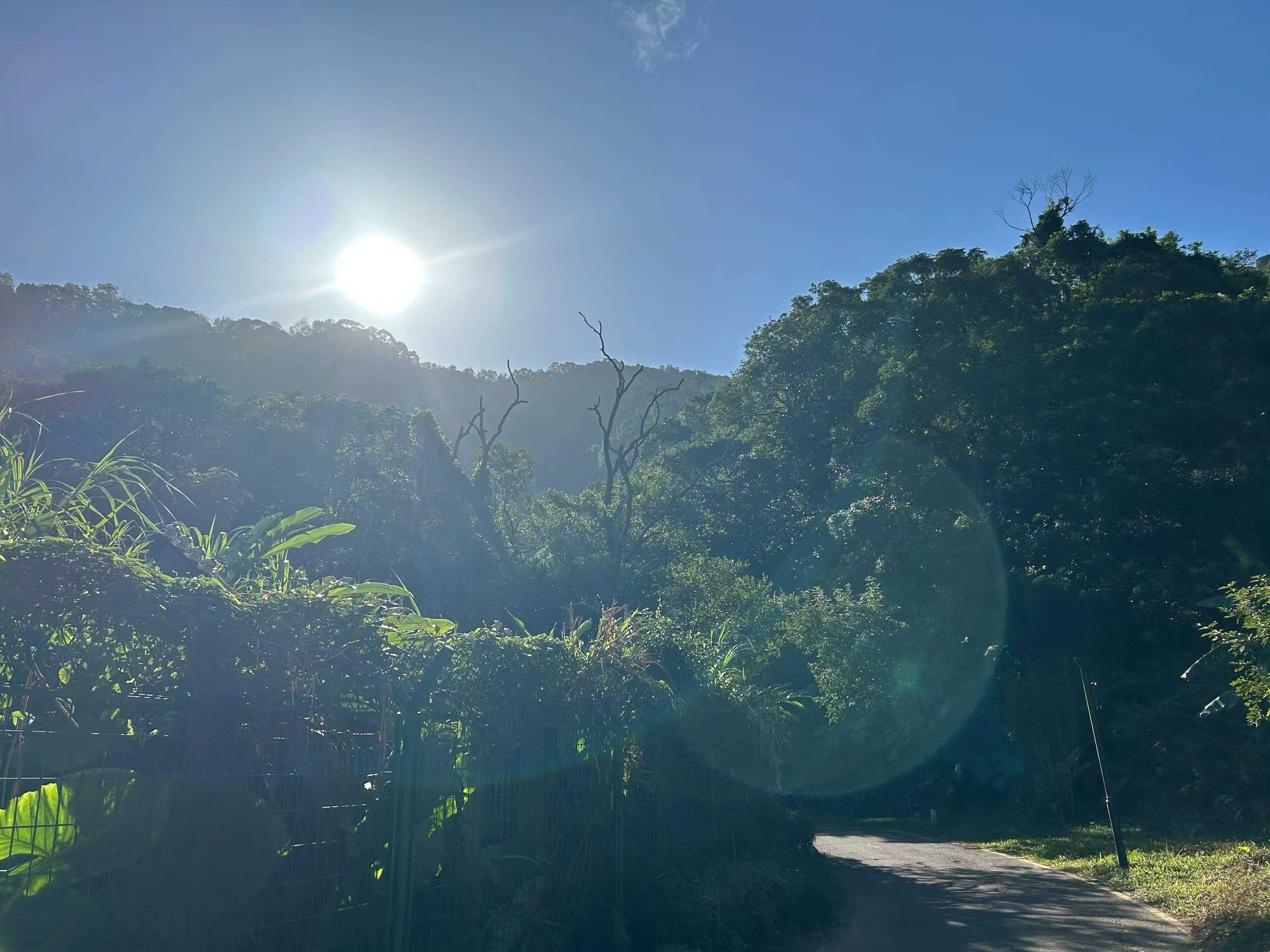 0C818A2E-9D74-41F9-A317-041DD7581E73