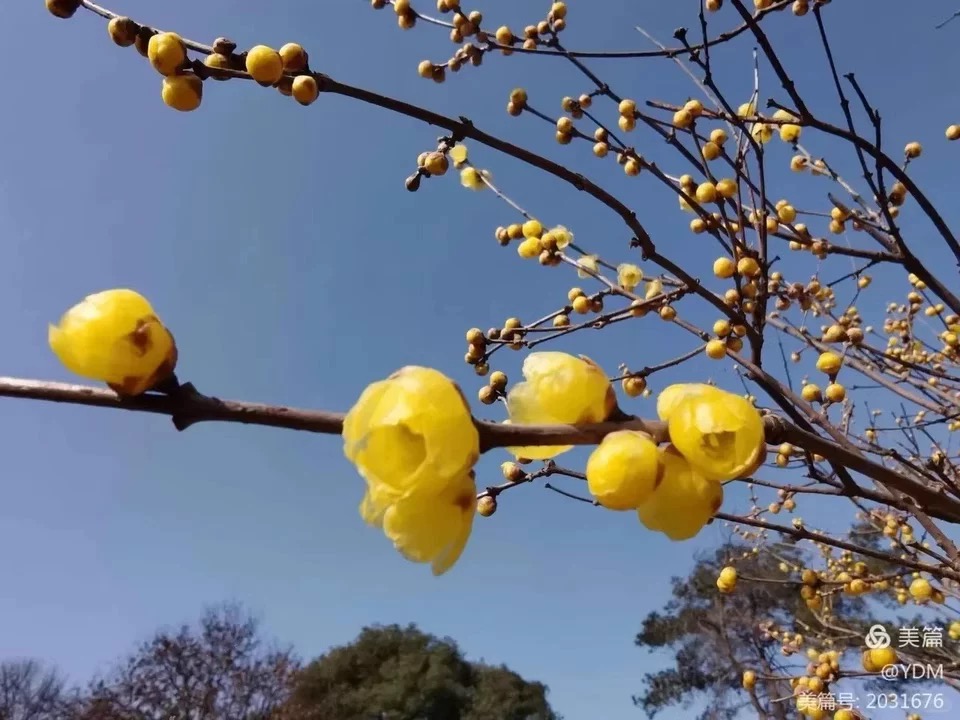 707AB559-4FB1-48D2-B574-5F3D7A1907FD