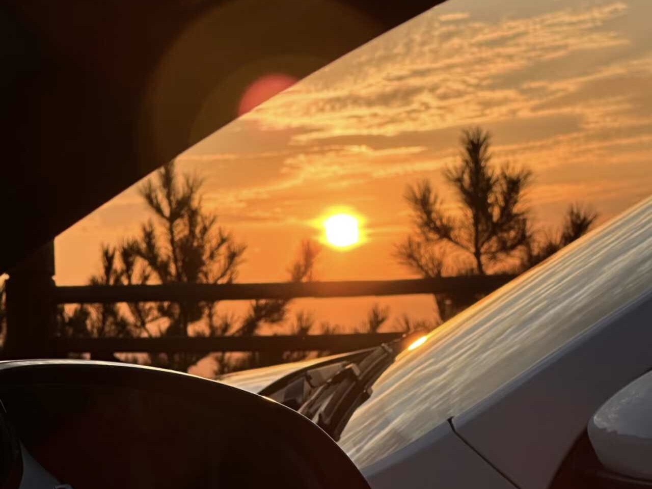 56BE8A22-7BD6-4E47-83F9-8EC393E1AFB4