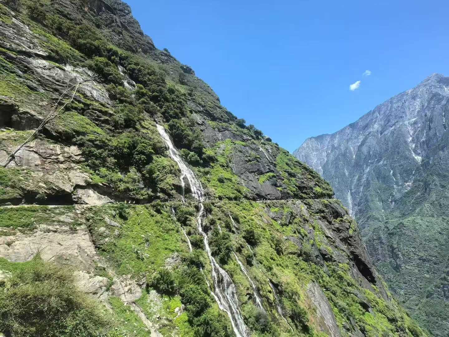 FE047ADB-20B8-4F53-9E10-0A043479E7E4