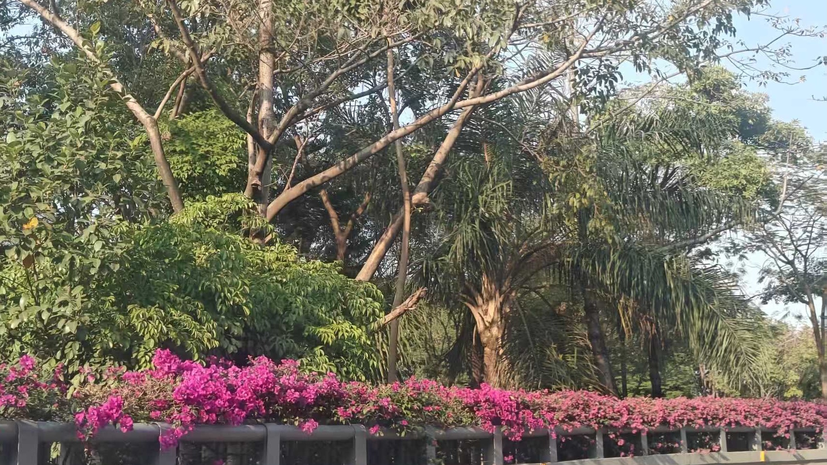 FD657065-07D4-4F99-A7AB-9697C1C146D4