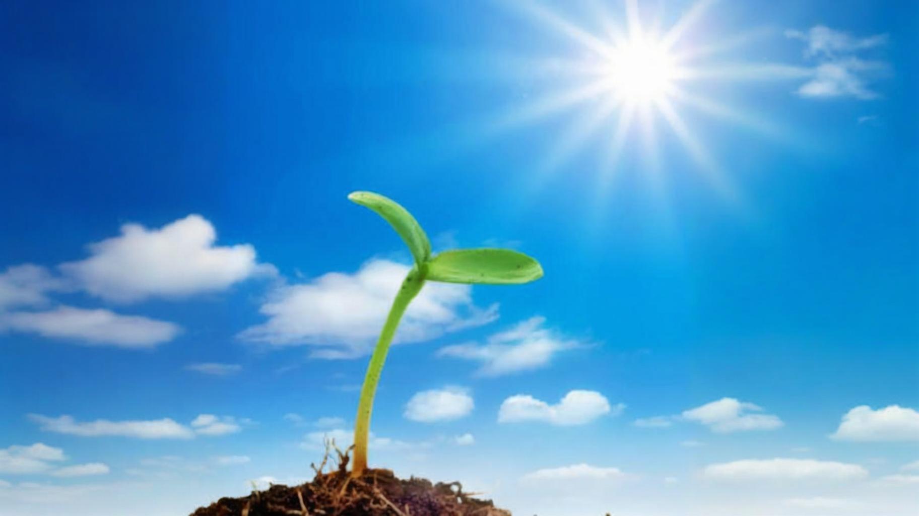 F2591488-6DAA-4E77-B0DE-BC0BAA54F10A