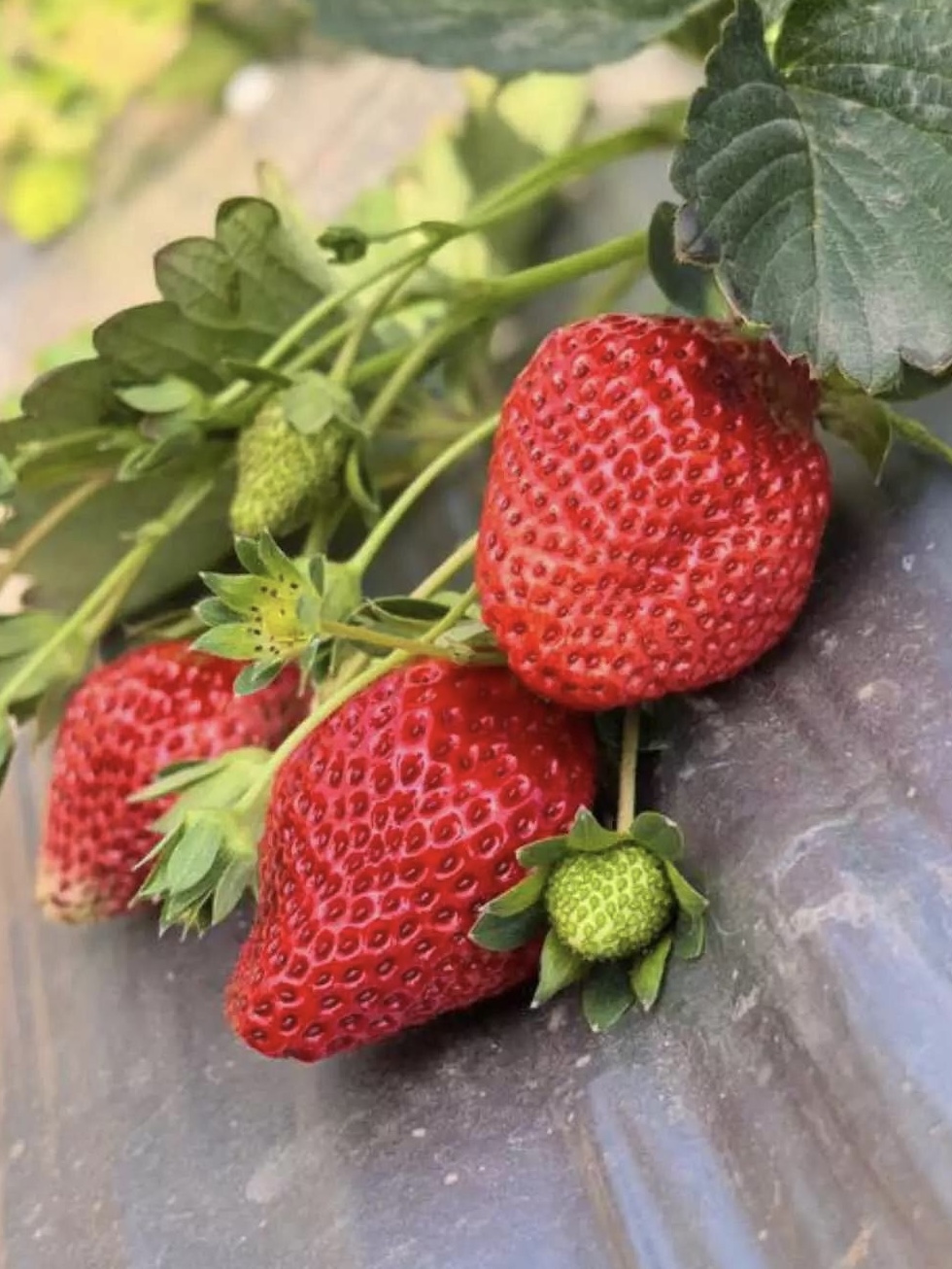 7C4663AA-BDBD-4A01-ABDC-ACED140DB717