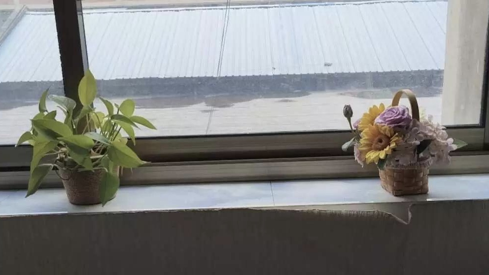 17D7407C-D033-4798-9F09-4061E63F2EA4