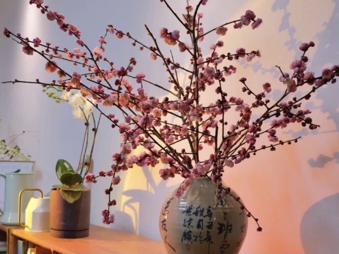 6A6C10A1-3DEE-458C-9053-A506EE2A7347