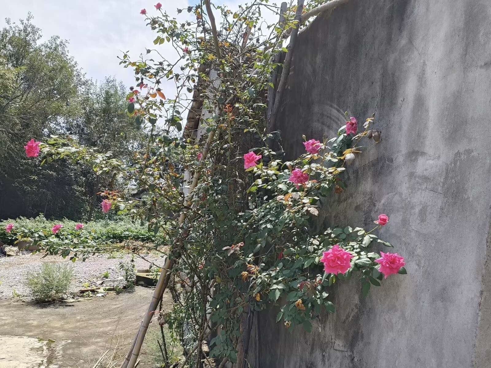 864C927E-C2F8-429E-A25B-5343D2B14904