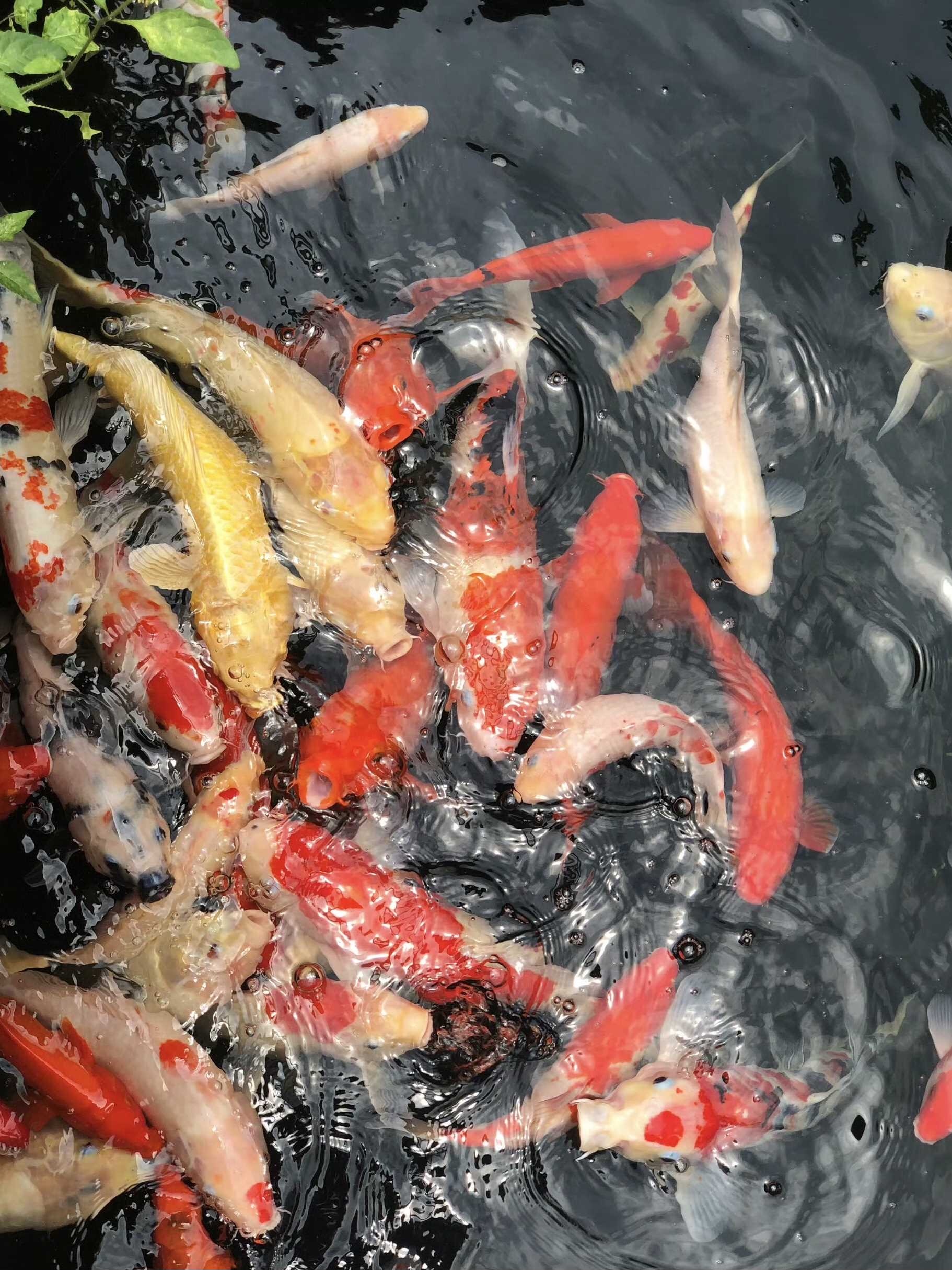 *F13CF7-2380-426F-B762-049A8DB6D6C3