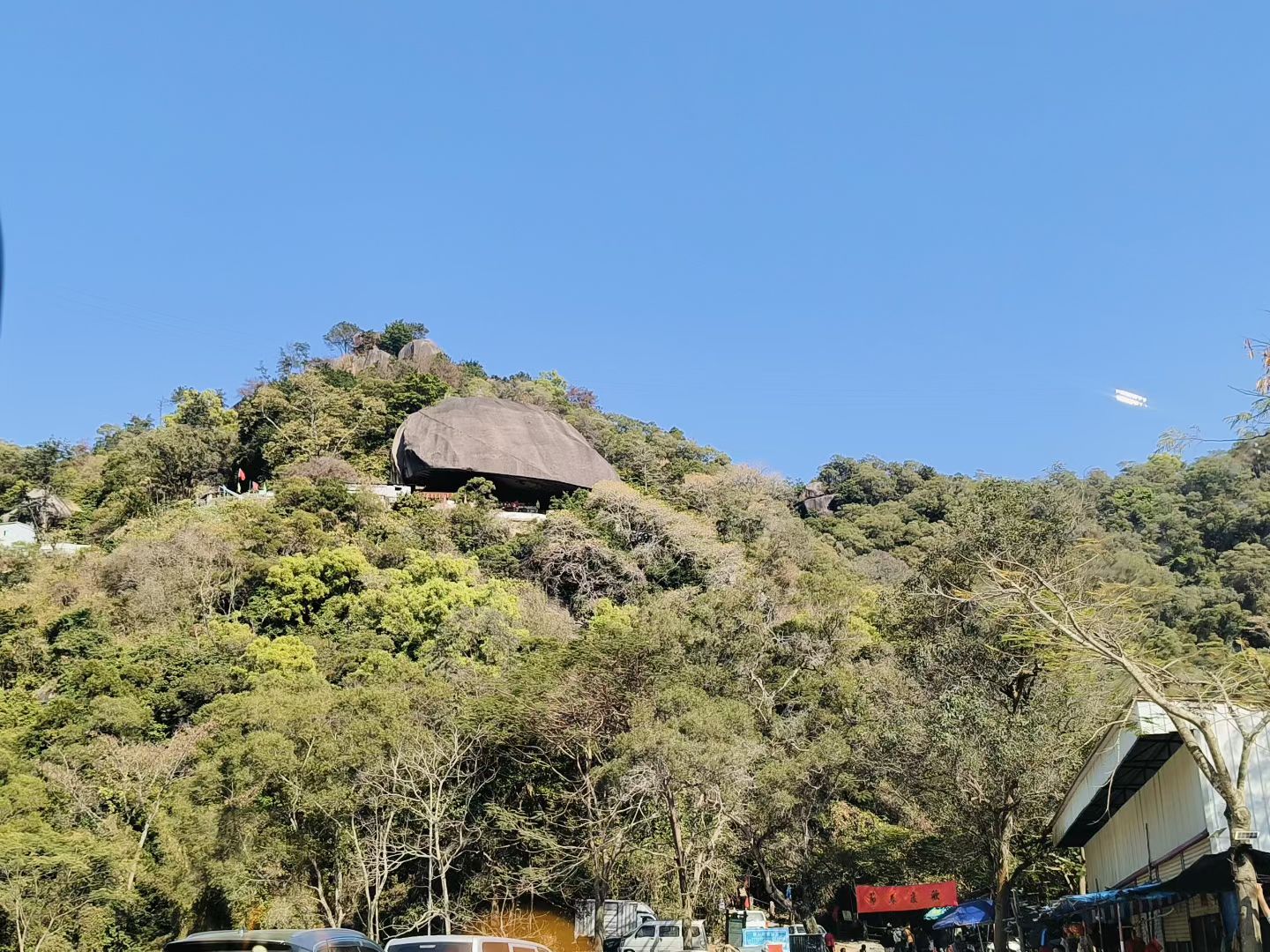 781D368B-BB72-4EE8-97B5-AEEC095D7AA8