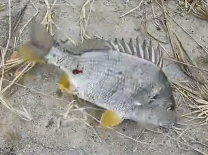 1392A994-D96E-4846-8FE6-A1ED200223A2