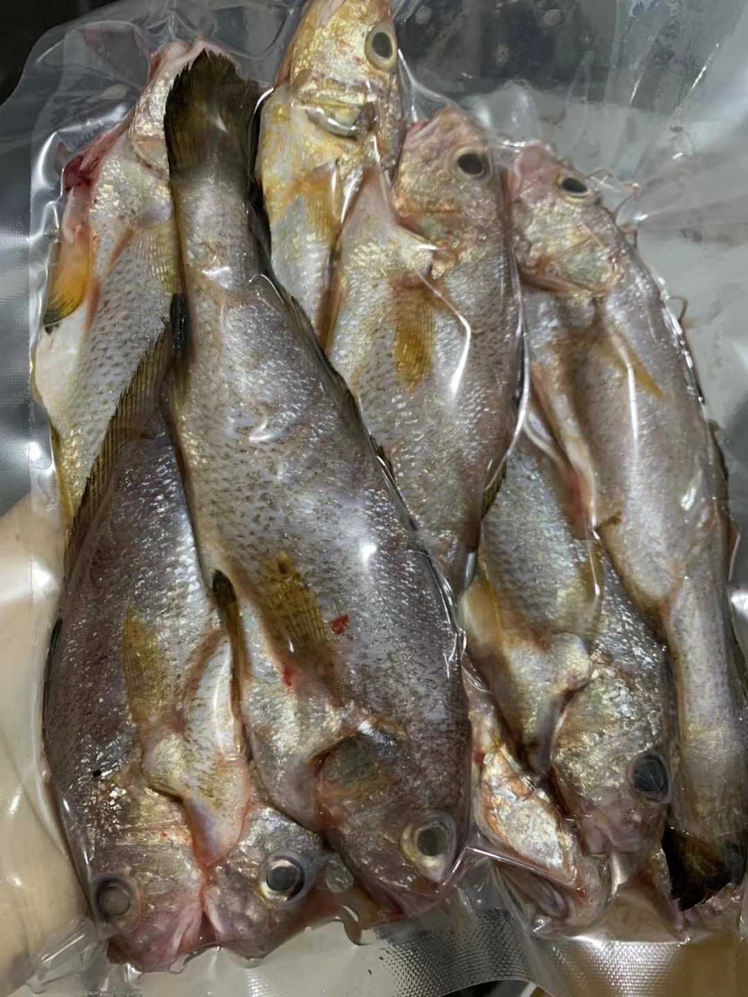 B256F4EF-5ED3-422A-8A96-ED7E2E4202F4