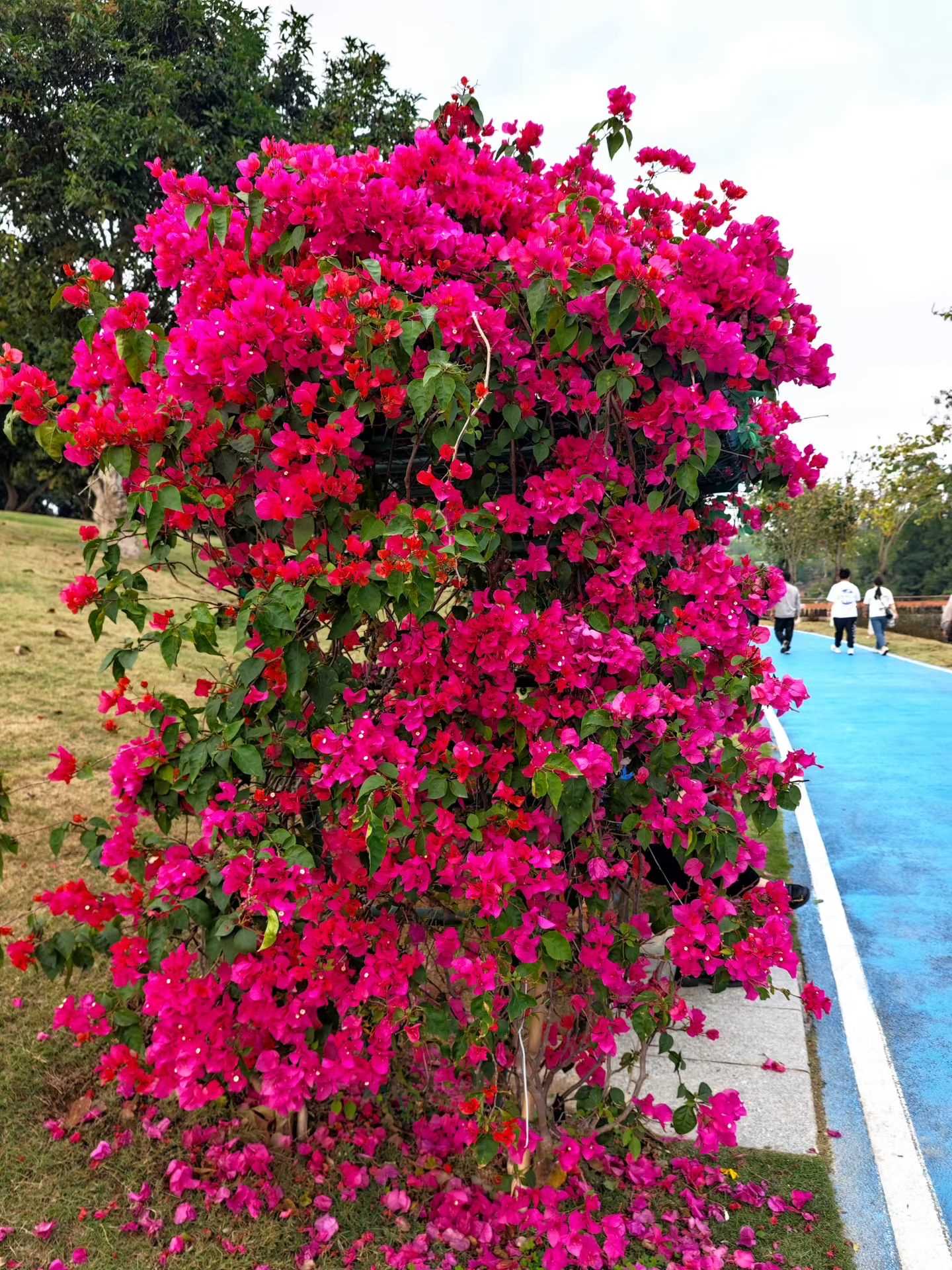 621F669C-BF38-48AC-BC2C-A4AC8415259C