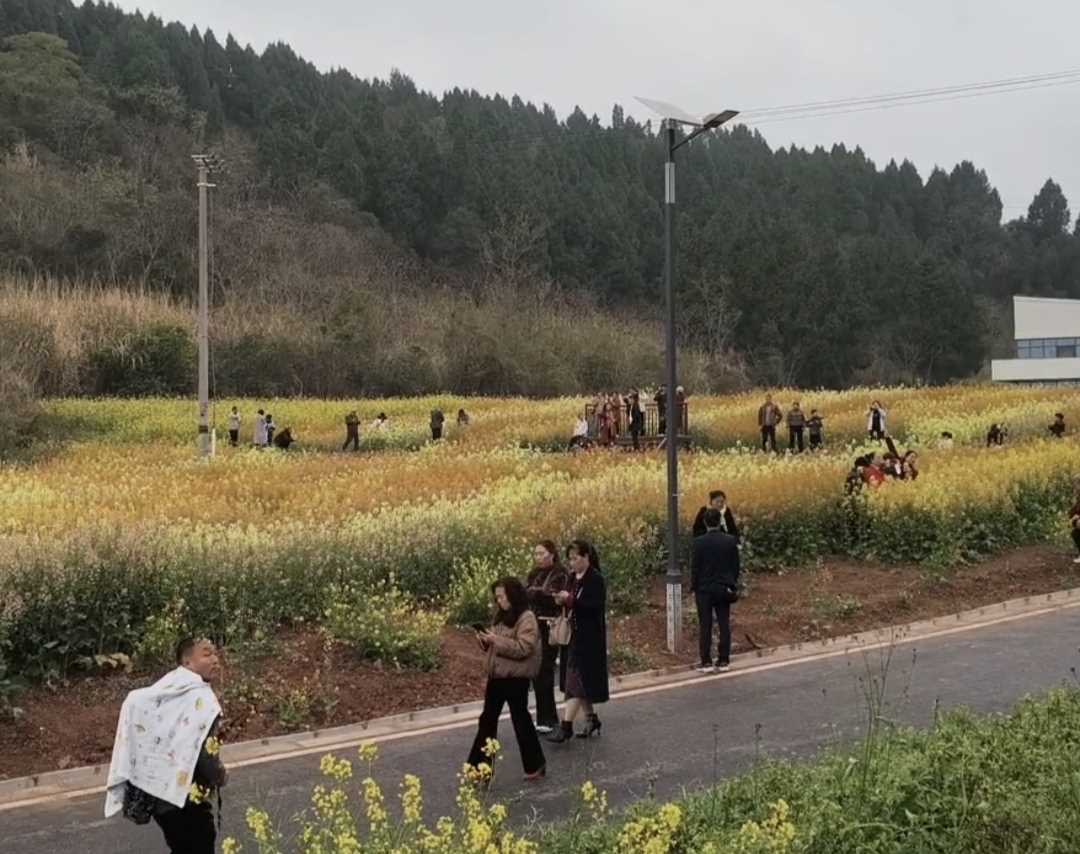 185F99A0-E498-4221-8DC0-2AA664802EAC