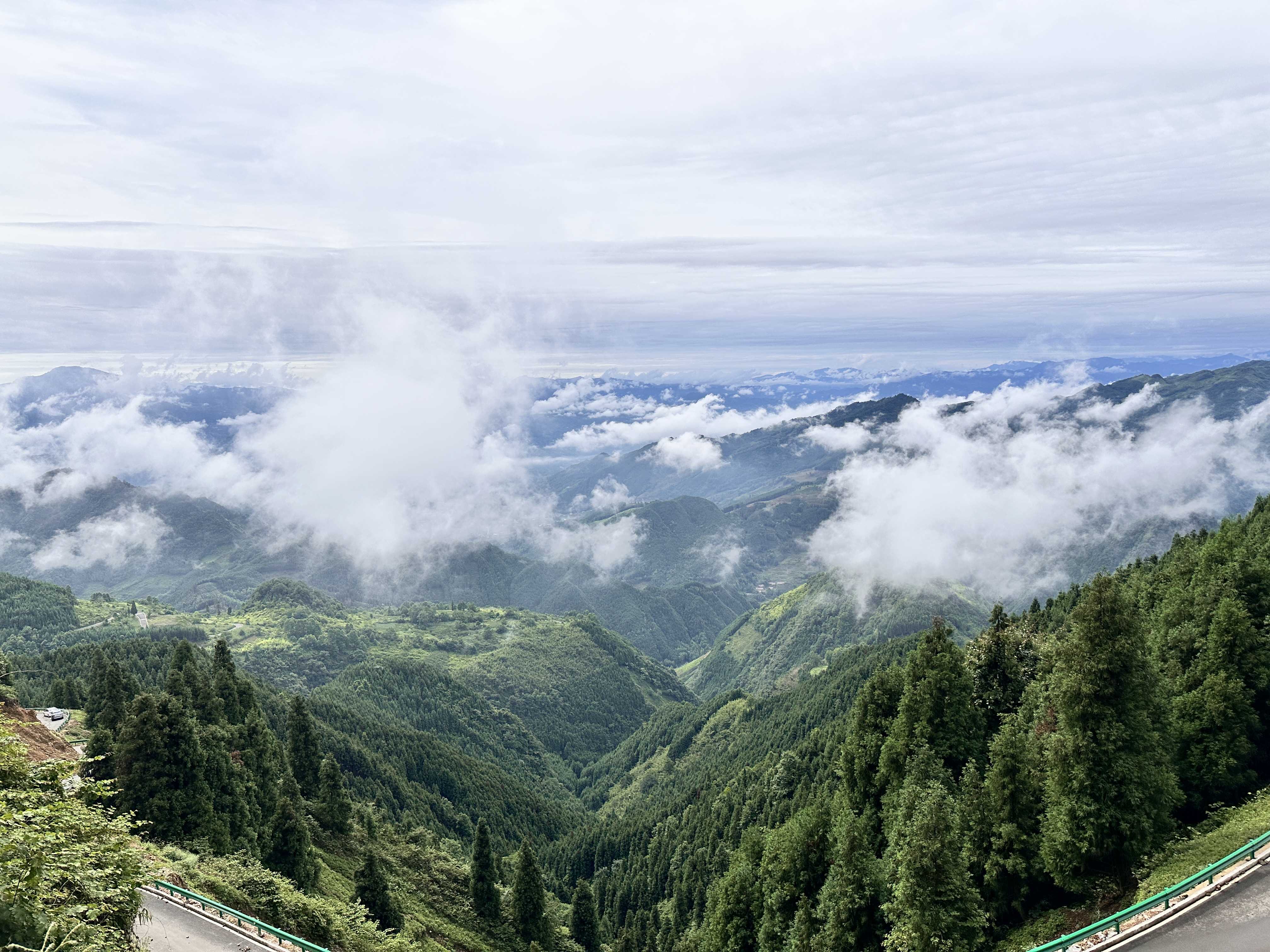 2323B5B9-3080-47E1-BAAE-FD913D132ADA