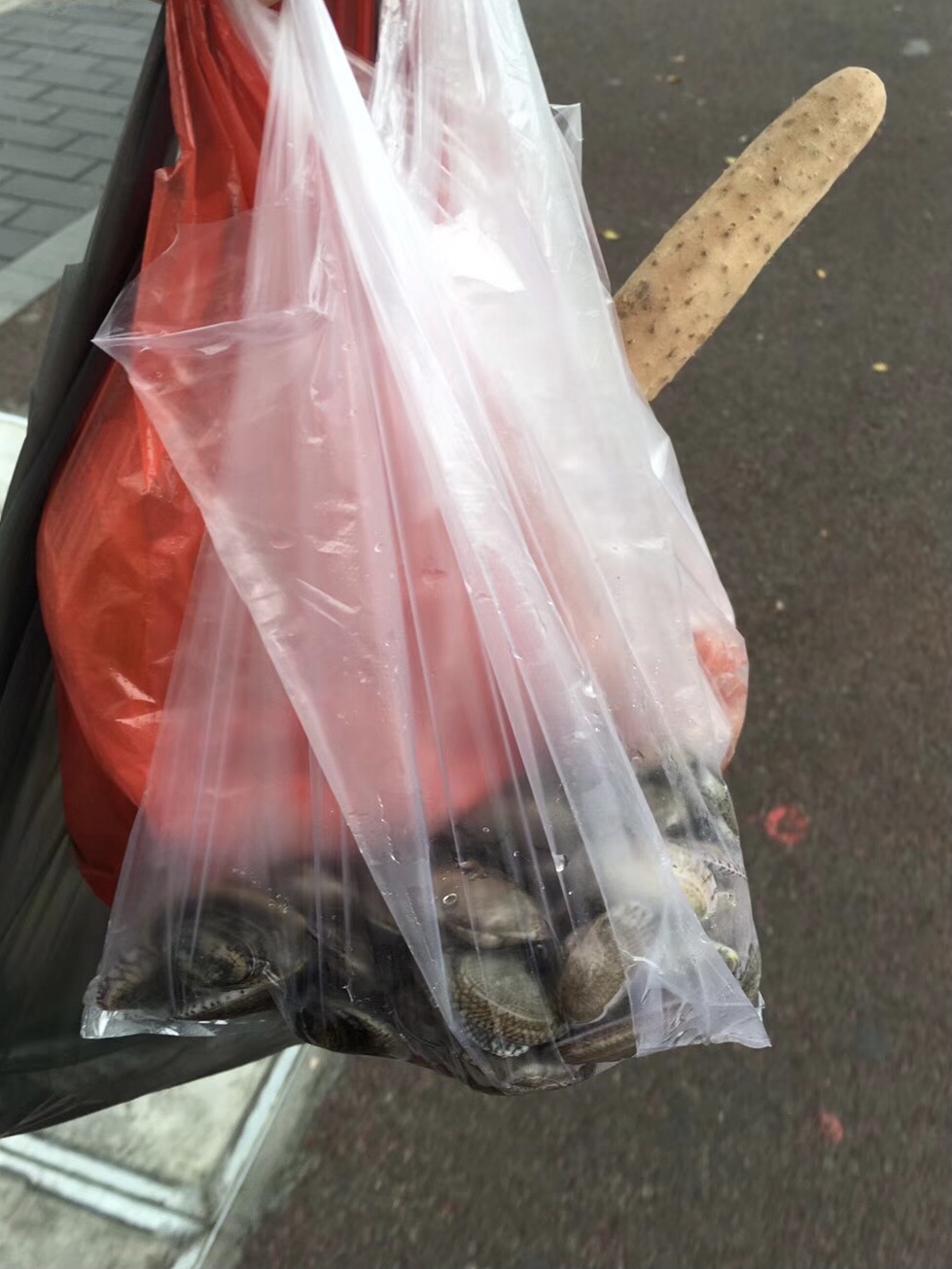 A46FE738-57ED-4406-BE76-27F586F611F9