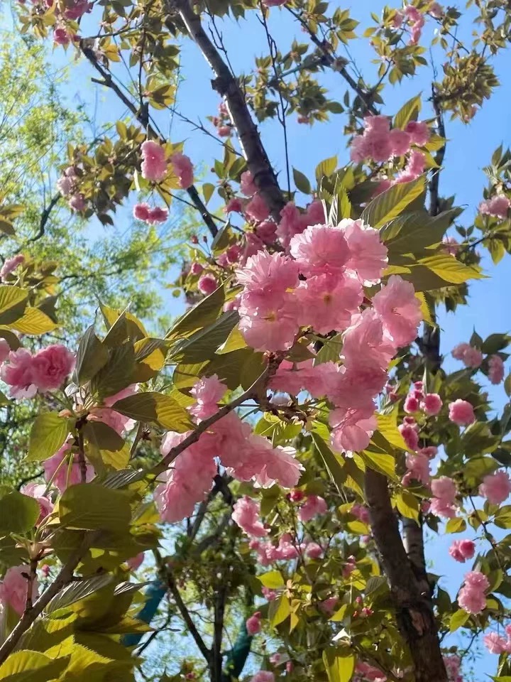 ED1BF120-AEE9-4BE4-AF8D-D65D44EA35FE