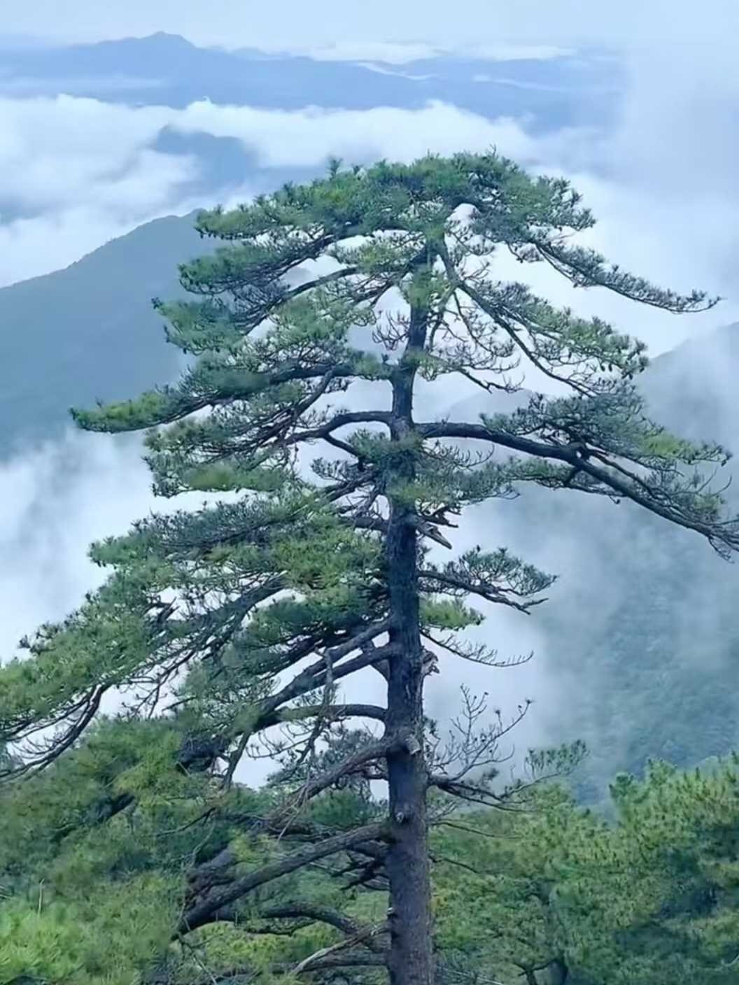 5704B4DC-6EB4-465E-8ED3-387AC60C012B