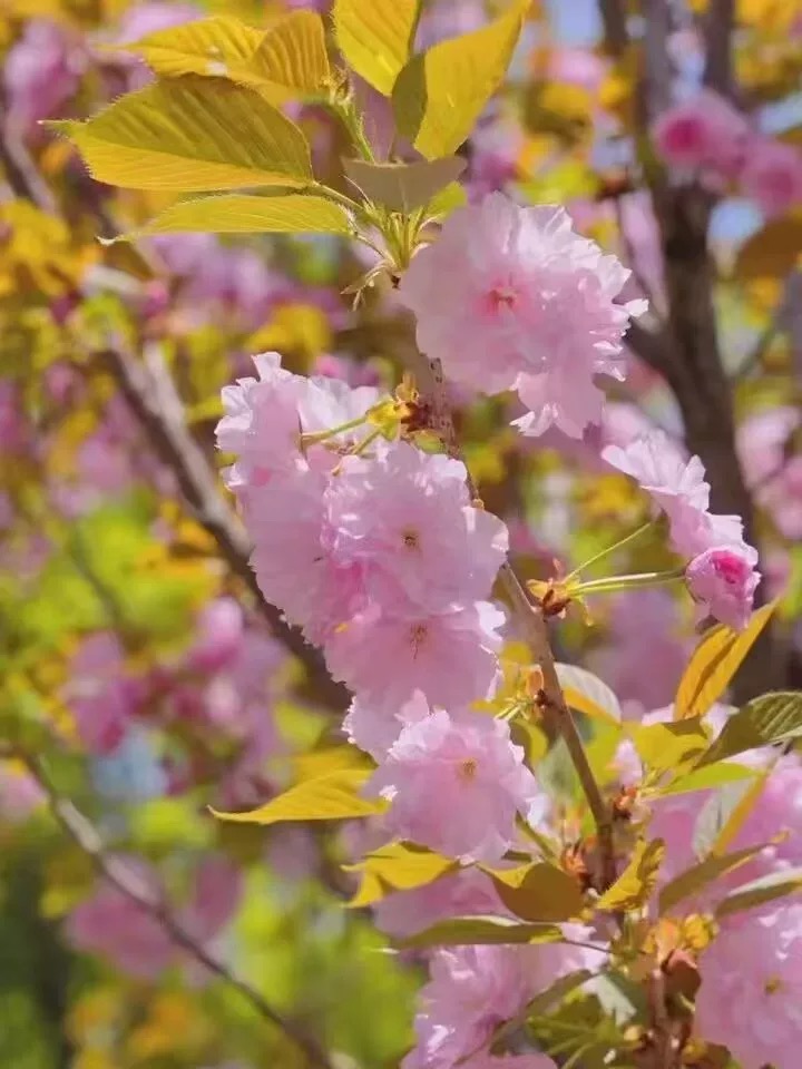 FD668AC5-2941-4E41-B6F6-947B0C9C28EC