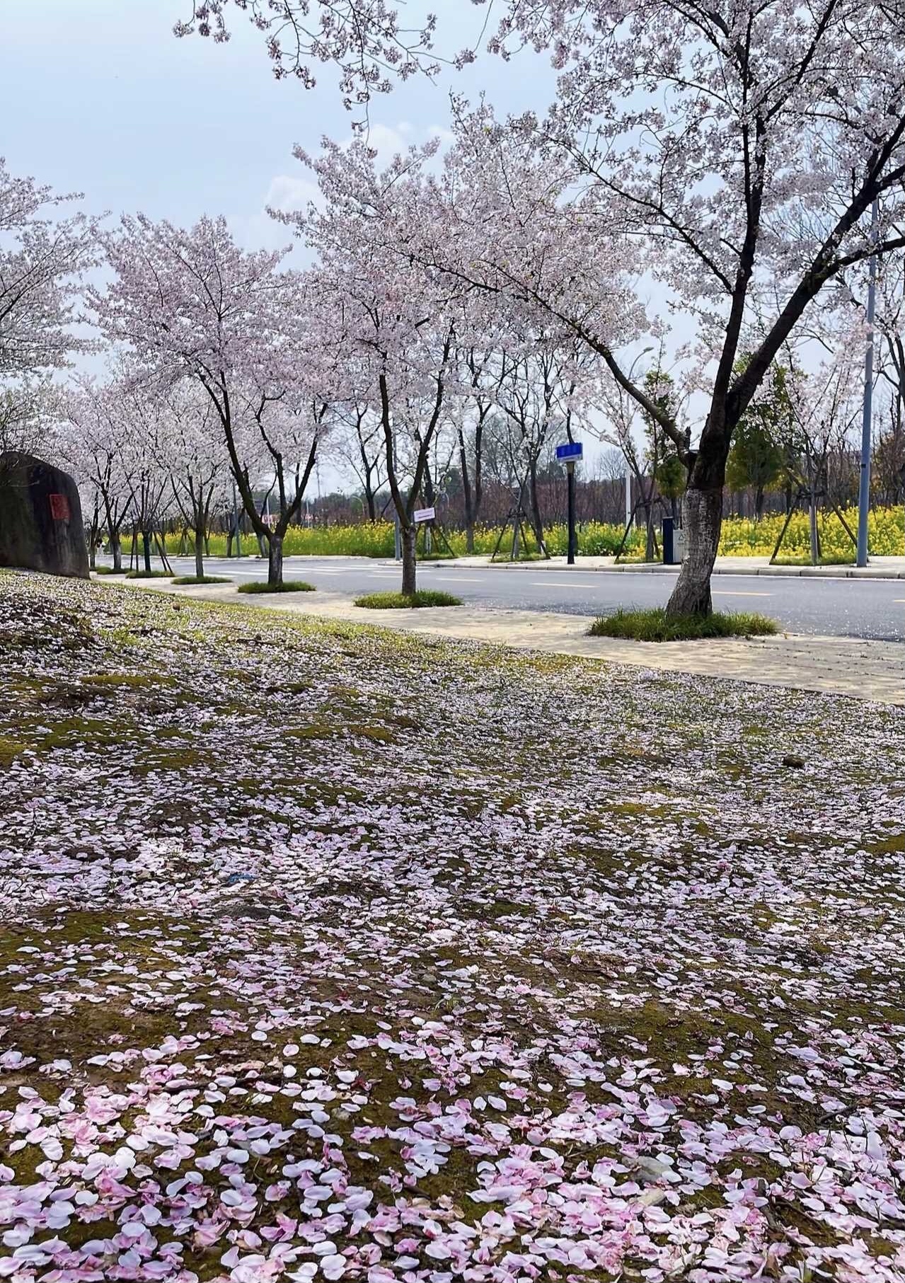 CA5553BD-18DC-4CDF-9E96-0F6013526CDB