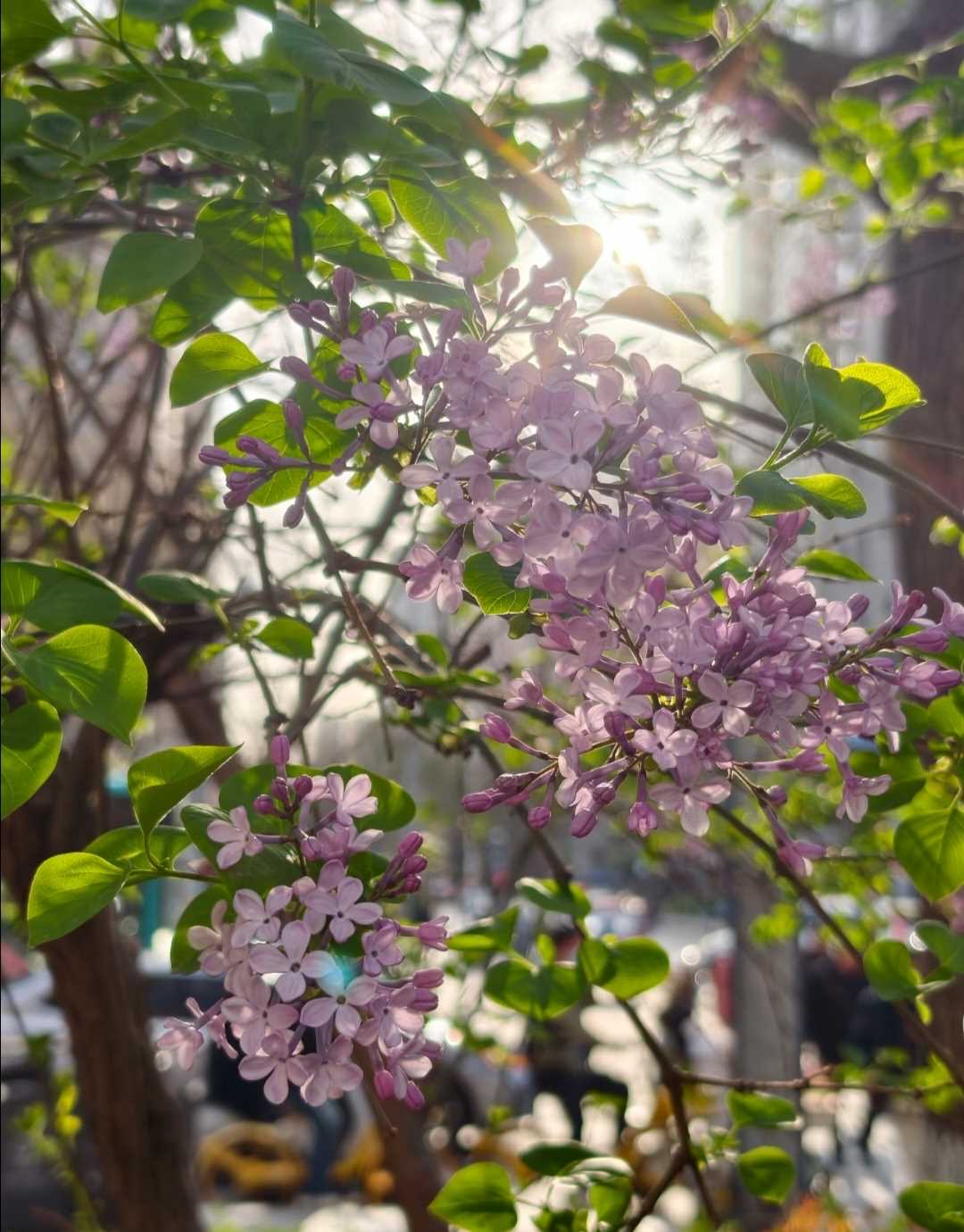 34B60E42-B8DF-4A7D-A5CB-C12A0E87B6A5