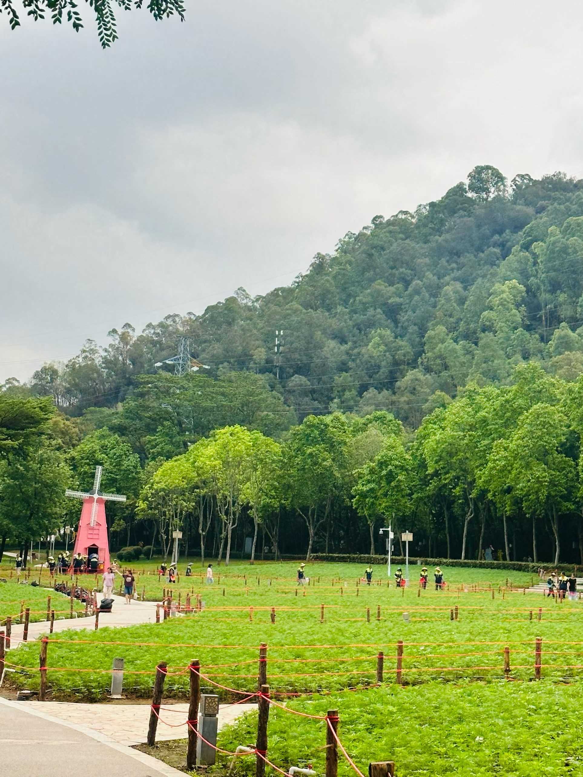 6F897183-1AB3-491C-BC2A-6C939ADC9103