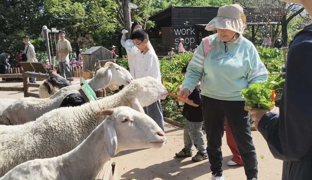 0C90F6BE-6711-4A07-BF00-2D30AFA381EC