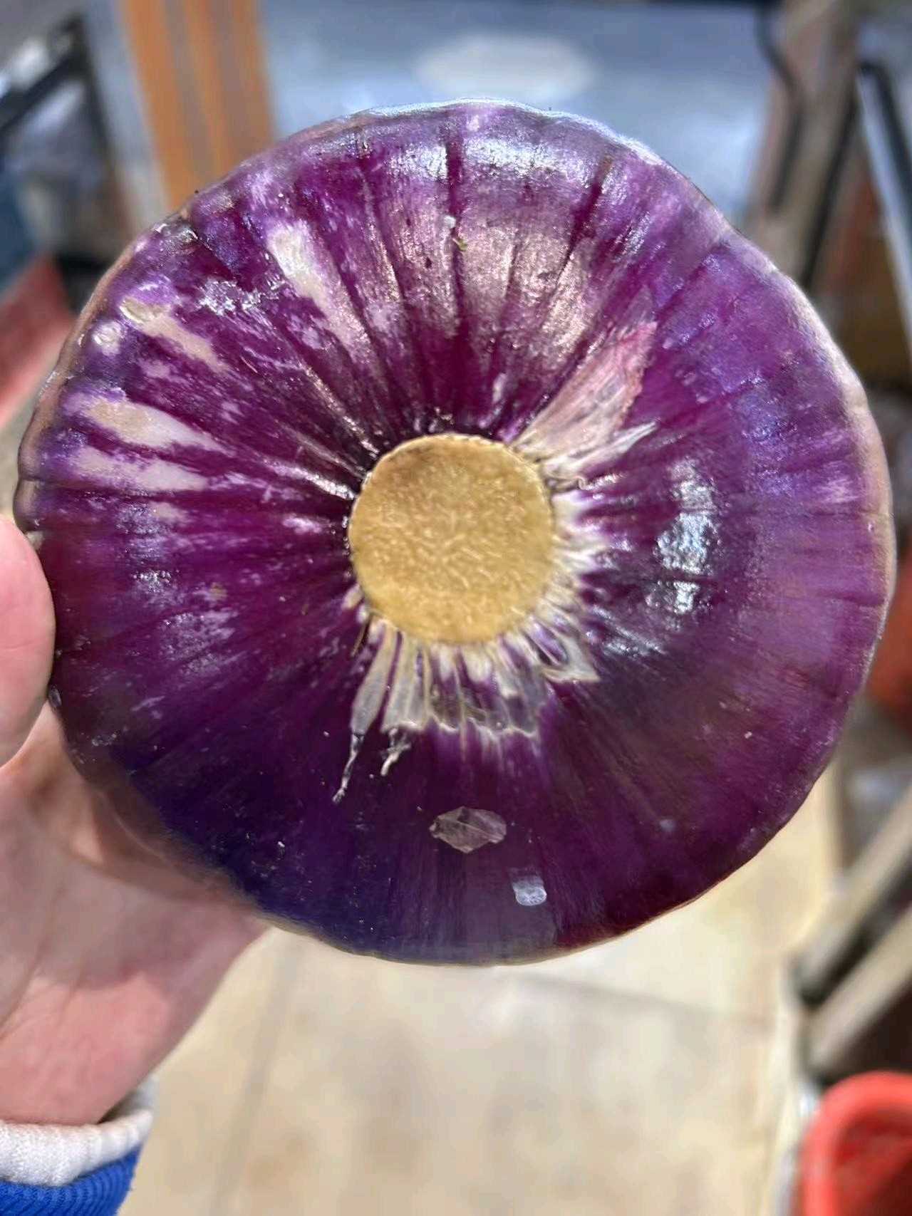 036039C1-1F66-4AA9-B76C-6C35BED544D9