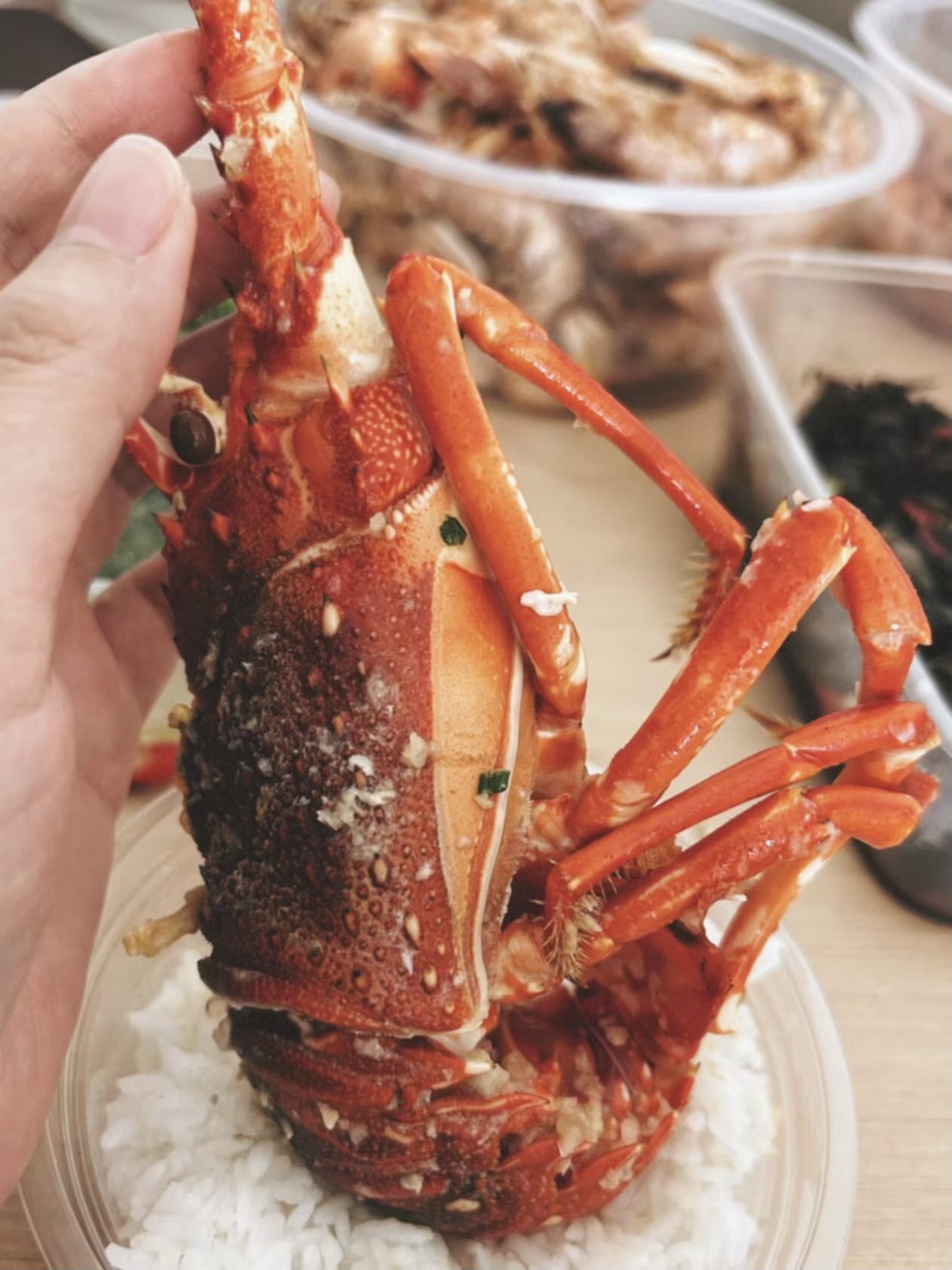 0*BC2E7-1724-47B1-9AF8-8C2437E0FDE1