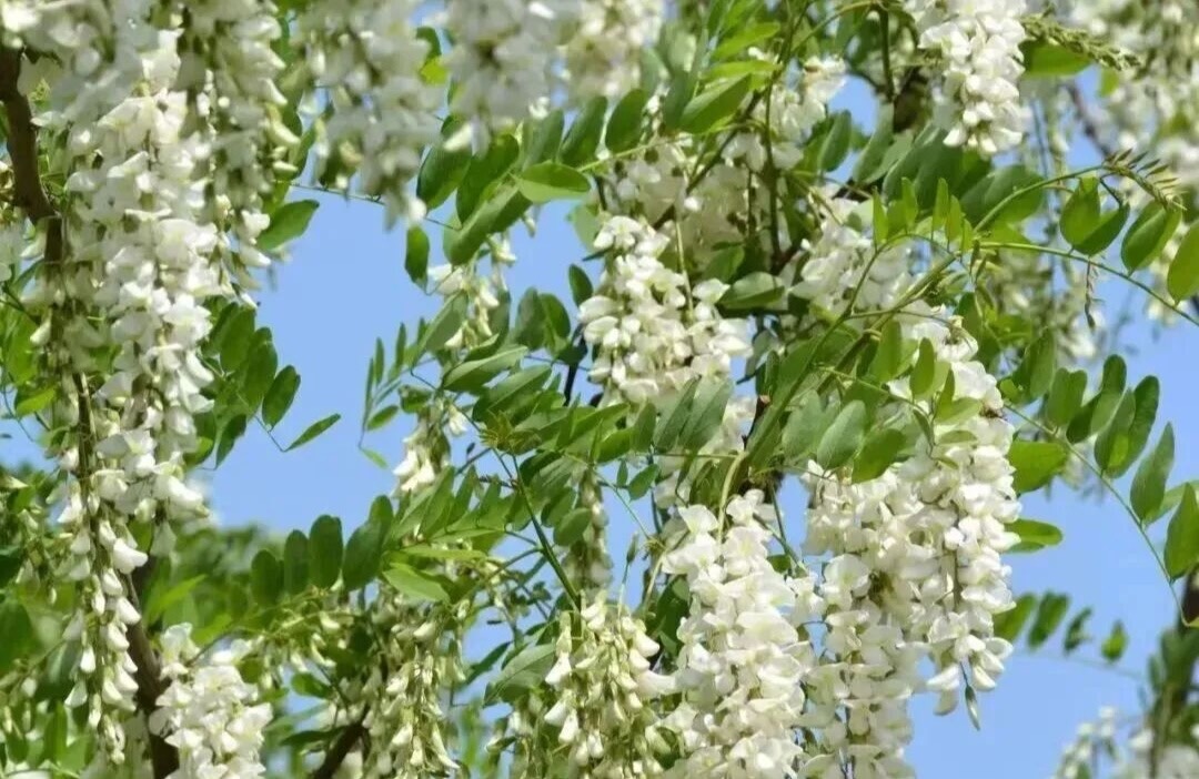 E9CB169F-5B16-4596-A93C-FC0E771AB5BB